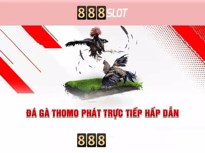 <!--IMG_PLACEHOLDER alt>Lợi thế và năng lực cạnh tranh của 888slots 00-->