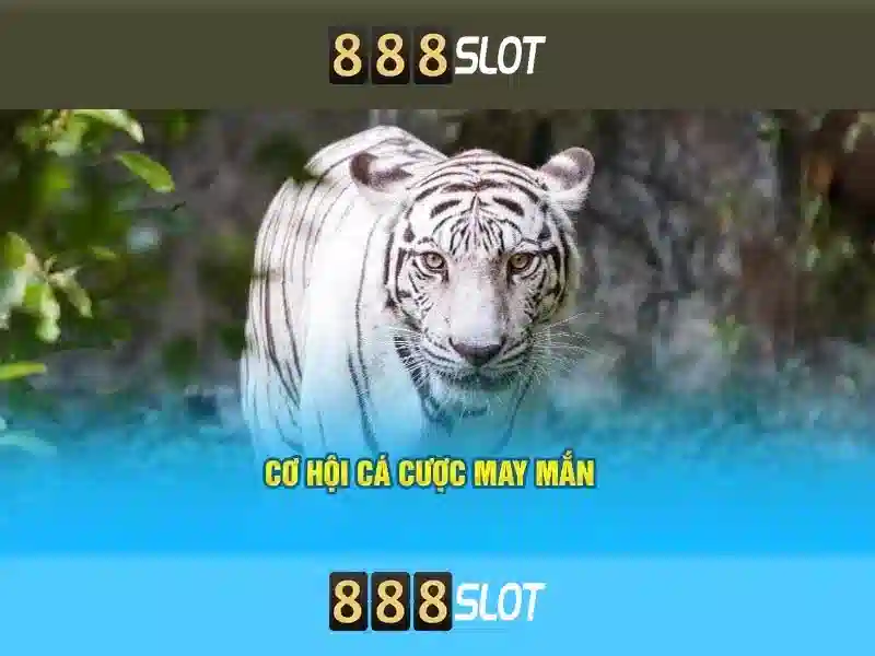 888Slot - Đánh giá và trải nghiệm nền tảng slot trực tuyến
