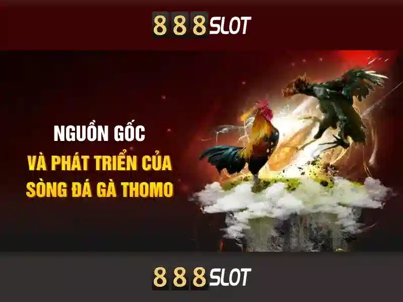 Giới thiệu về 888slot