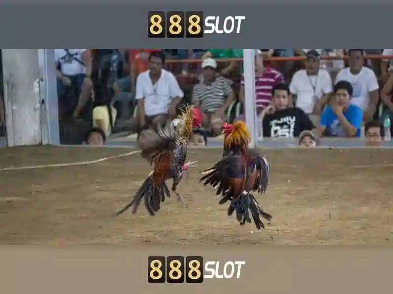 Quy trình nạp tiền và vận hành ban ca