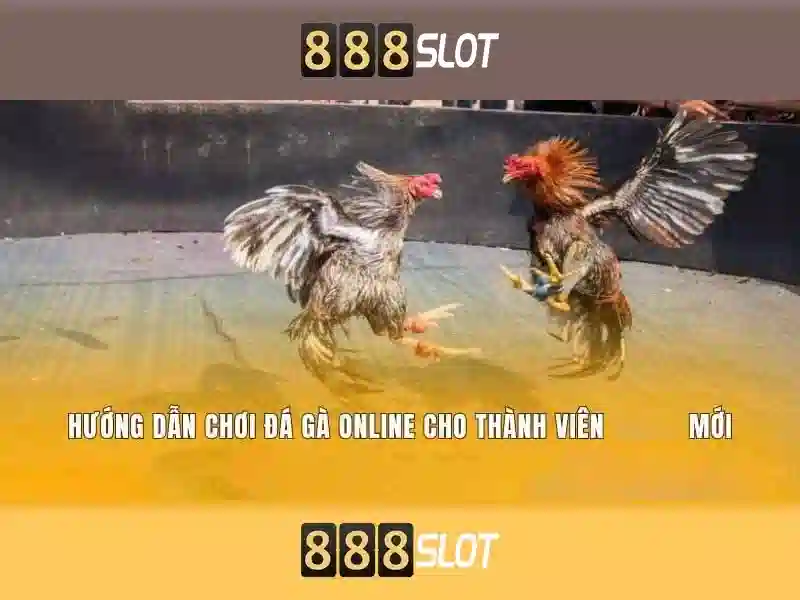 888slot – Nền tảng casino trực tuyến uy tín tại thị trường Việt Nam