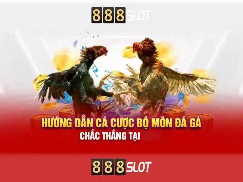 pt 888 slot: trải nghiệm và đánh giá thương hiệu