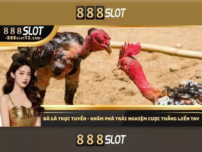 Hỗ trợ khách hàng và trải nghiệm di động