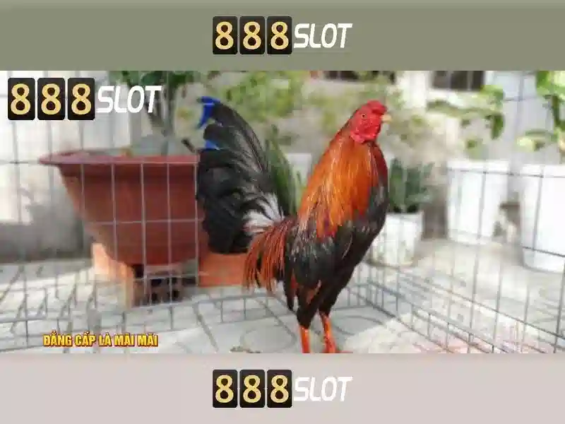 v slot 888 – Trải nghiệm đỉnh cao cùng infinity 888 slot