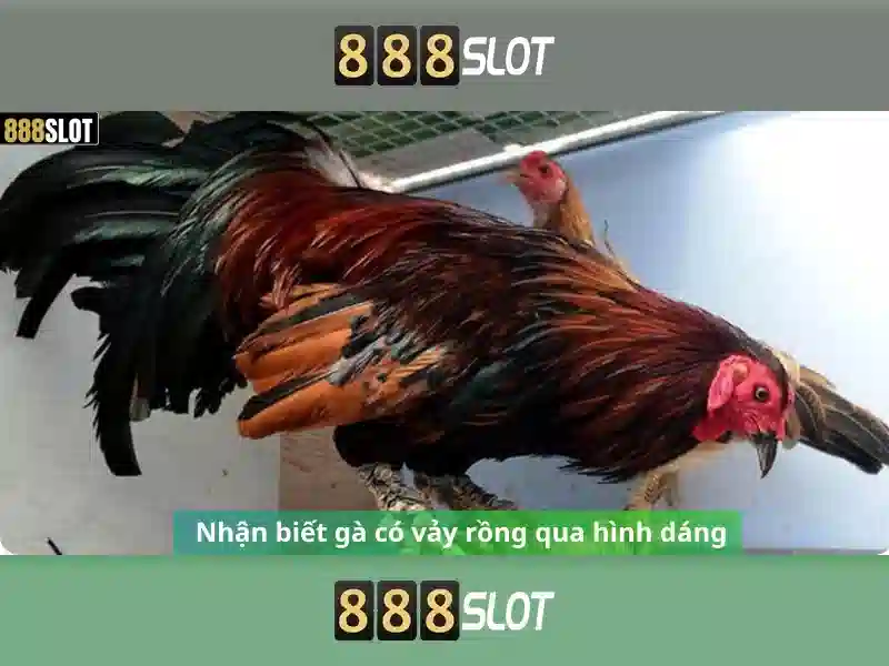 Tính năng nổi bật