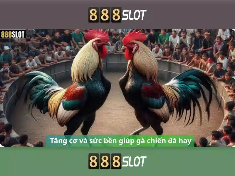 888slot: Sàn slot trực tuyến hàng đầu cho người chơi Việt