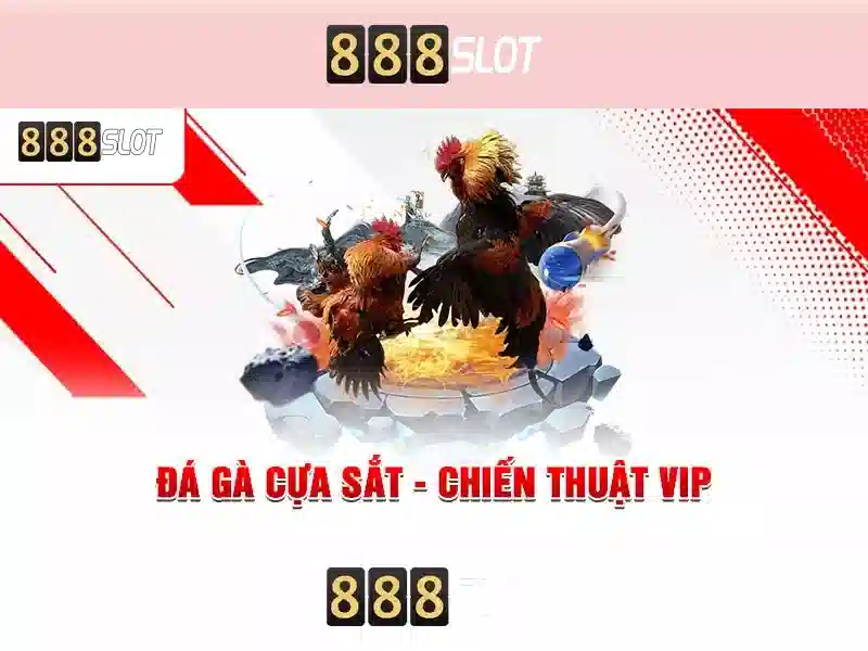 Giới thiệu về 888slot