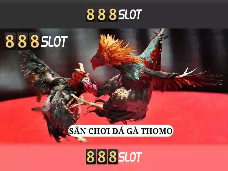 bet 888 slot – Tóm lược chủ đề và giá trị cốt lõi