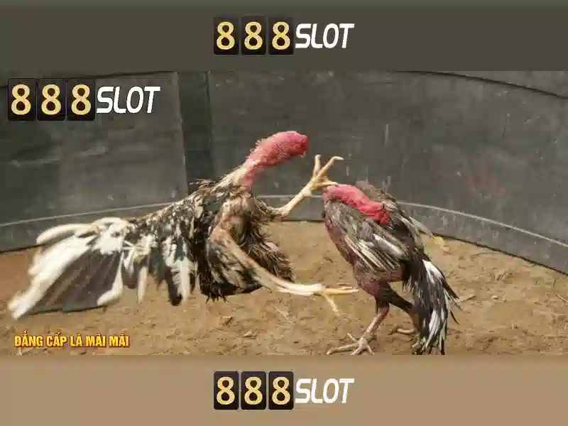 Giới thiệu về 888slot