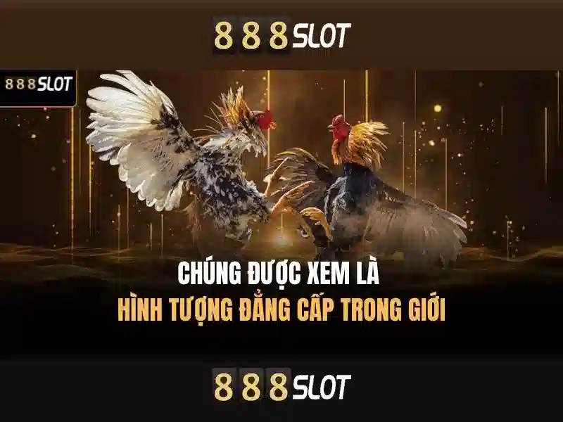 888slot: Nơi thưởng thức trò chơi slot online đỉnh cao