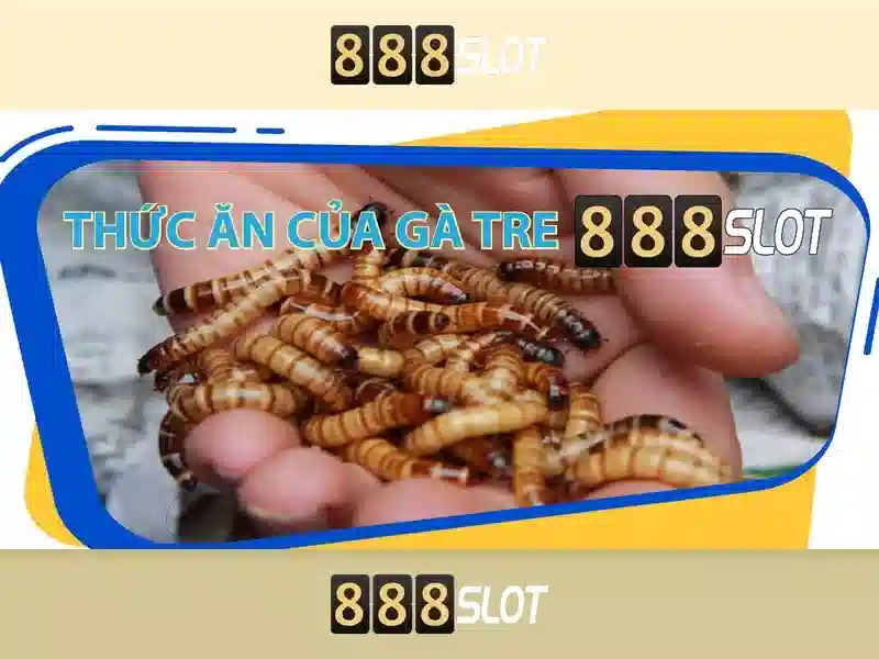 Giới thiệu về 888slot
