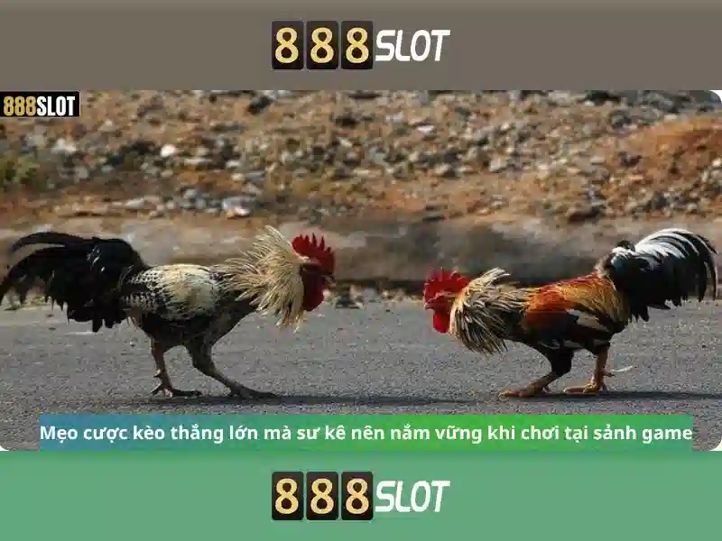 888slot - trải nghiệm chơi slot trực tuyến uy tín và thú vị
