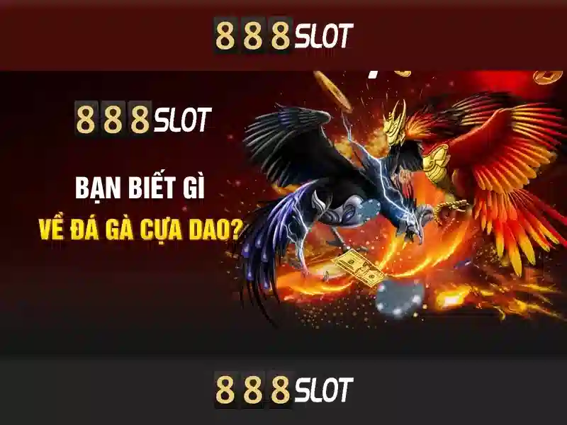 888slot: Đánh giá nền tảng máy đánh bạc trực tuyến phổ biến