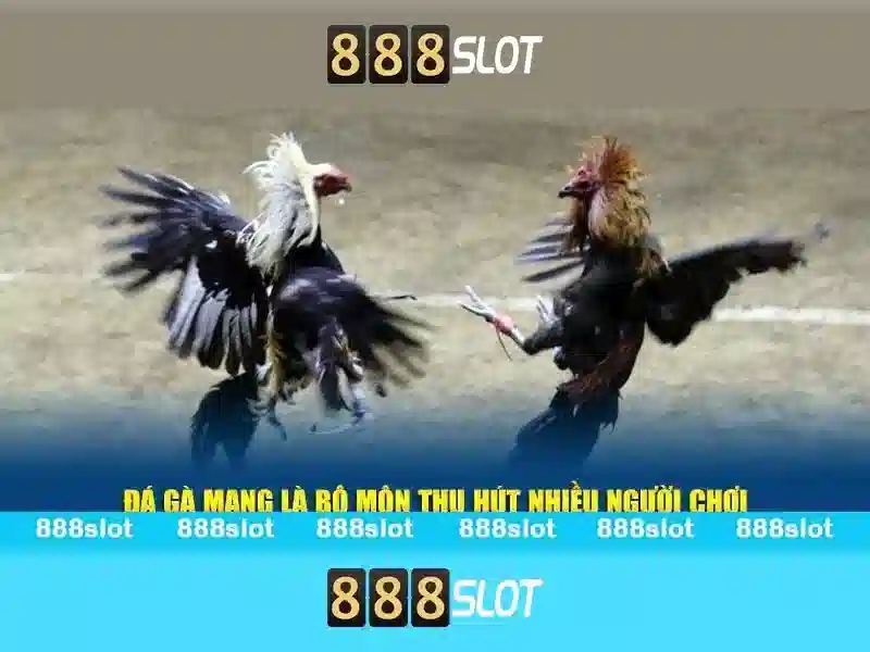 888slot - Trải nghiệm slot trực tuyến tuyệt vời