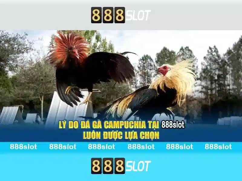 Trò chơi và trải nghiệm người dùng