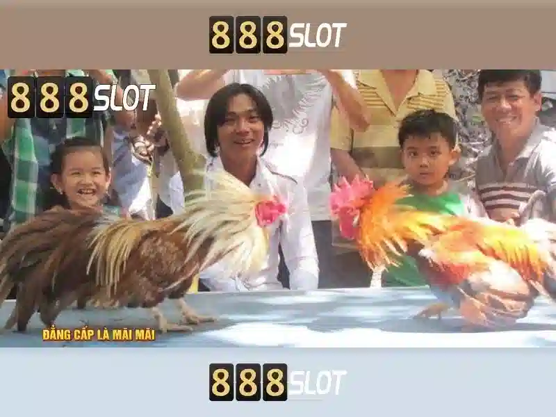An toàn và hỗ trợ người chơi