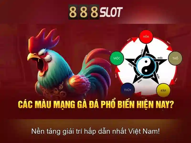 Khuyến mãi và chương trình thưởng