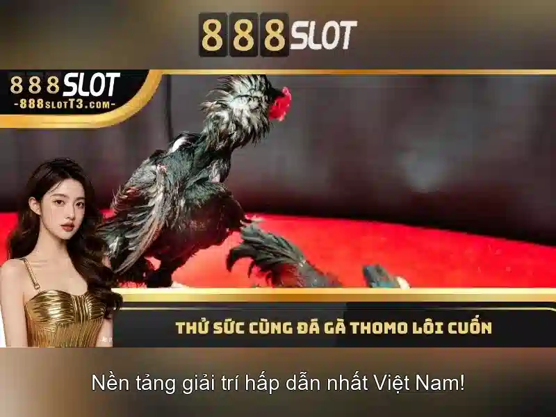 888slot – Đánh giá nền tảng slots trực tuyến đáng tin cậy