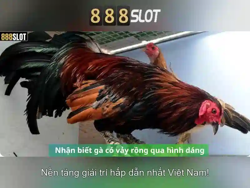 An toàn và thanh toán