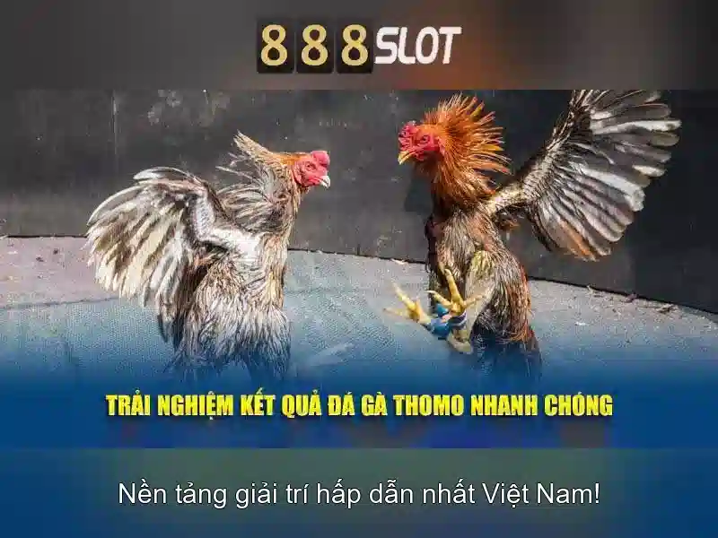 Bảo mật, thanh toán và hỗ trợ khách hàng