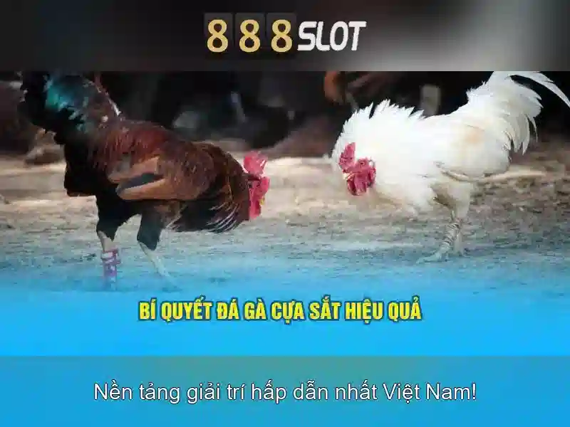 888slot: Trải nghiệm chơi game slot đỉnh cao