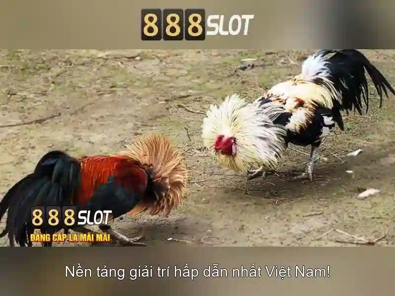 888slot - Đánh giá nền tảng slot trực tuyến phổ biến