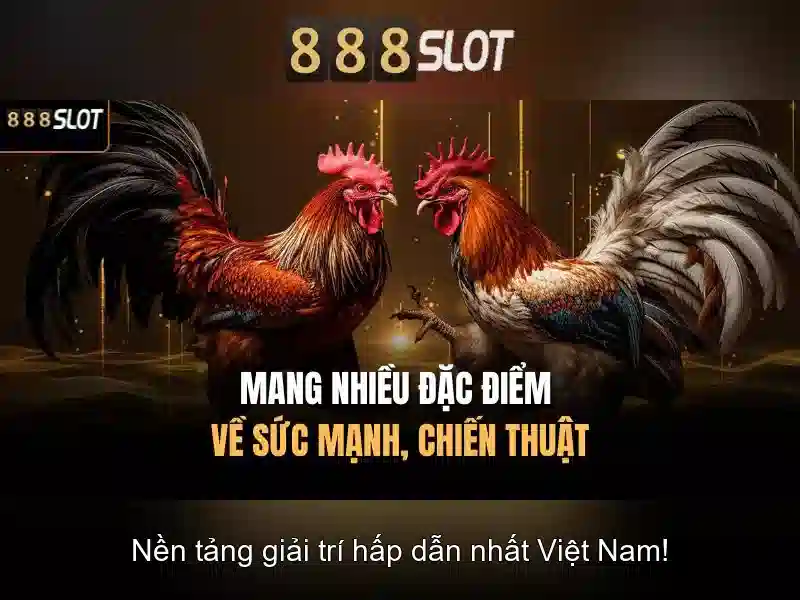 888slot: Nền tảng slot trực tuyến hàng đầu tại thị trường châu Á